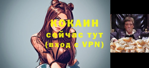 мет Бородино