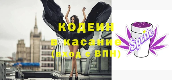 мет Бородино
