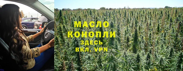 мет Бородино