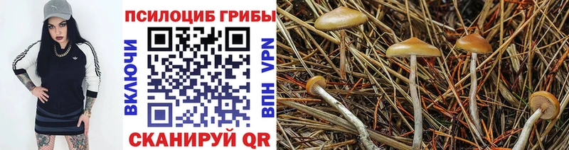 Псилоцибиновые грибы мицелий  Верхотурье 